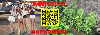 гидра Тара